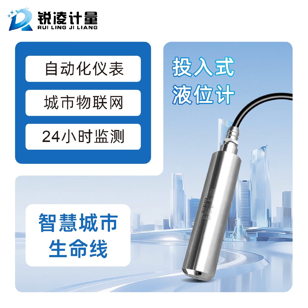 投入式液位計 1.jpg